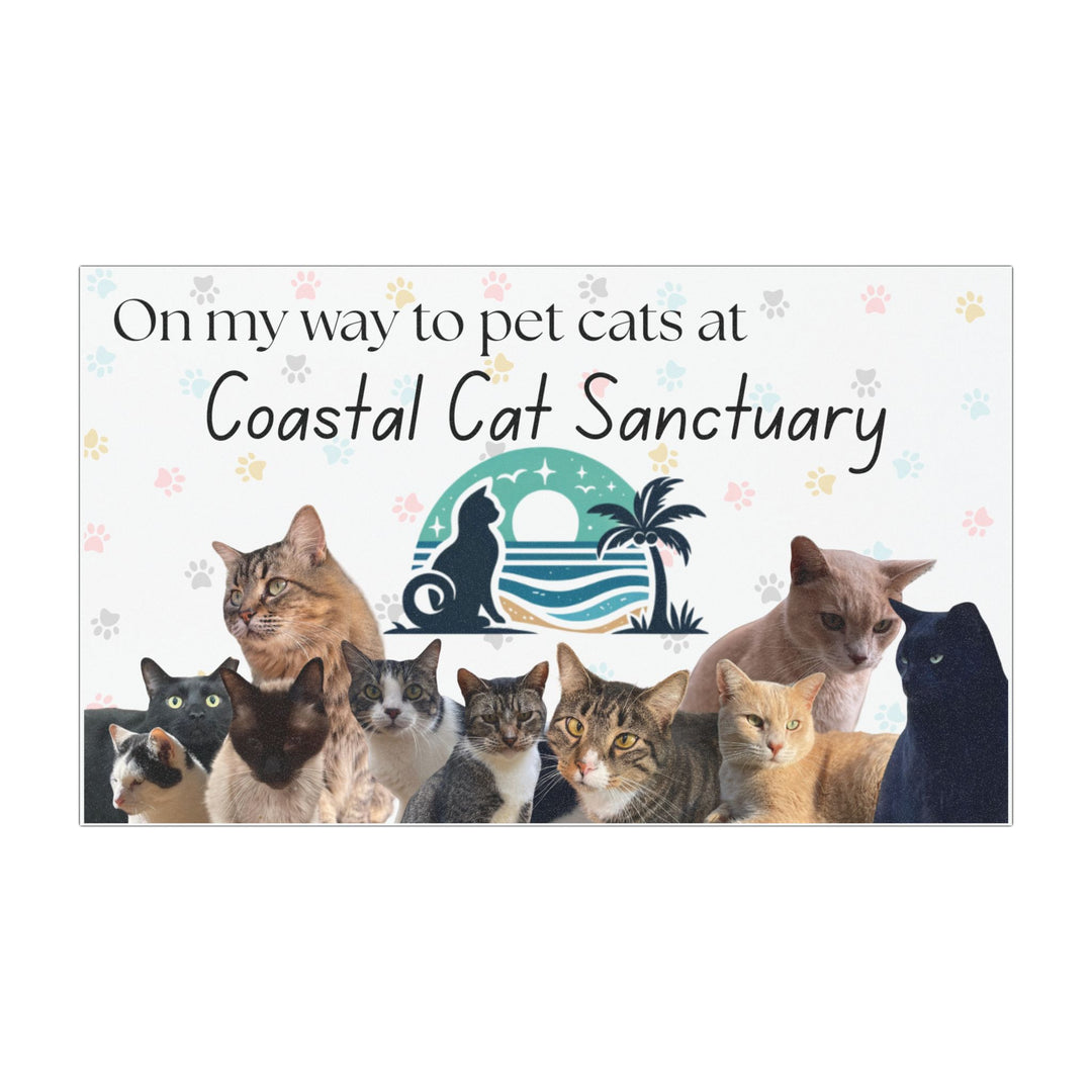 Coastal Cat Sanctuary Car Magnet