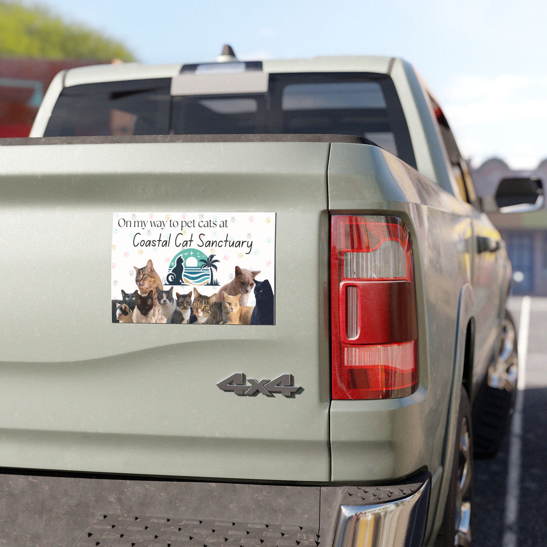 Coastal Cat Sanctuary Car Magnet