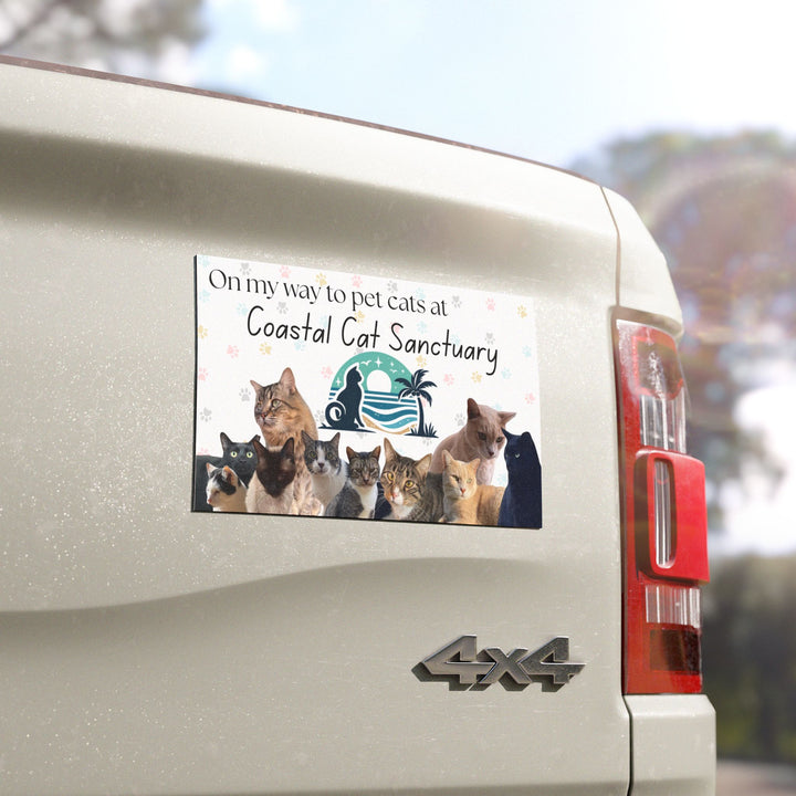 Coastal Cat Sanctuary Car Magnet