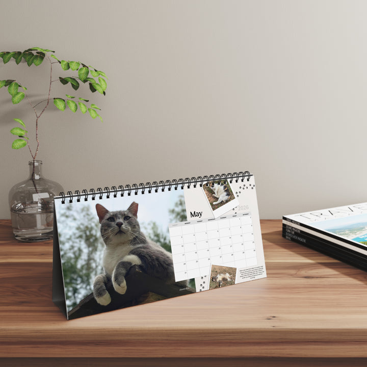 Cat Sanctuary Desktop Calendar — Monthly Photos of Resident Cats