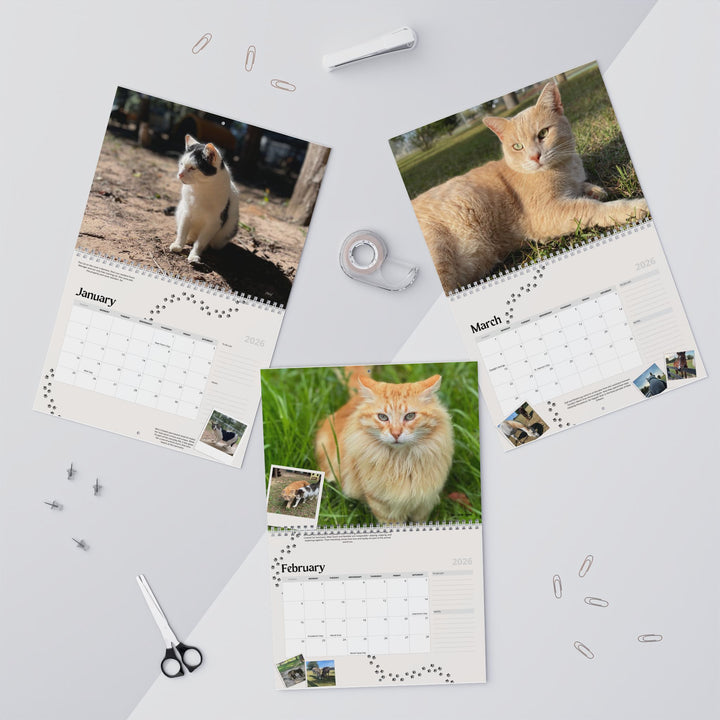 Coastal Cats and Critters Photo Wall Calendar – Monthly Planner with Paw Print Design