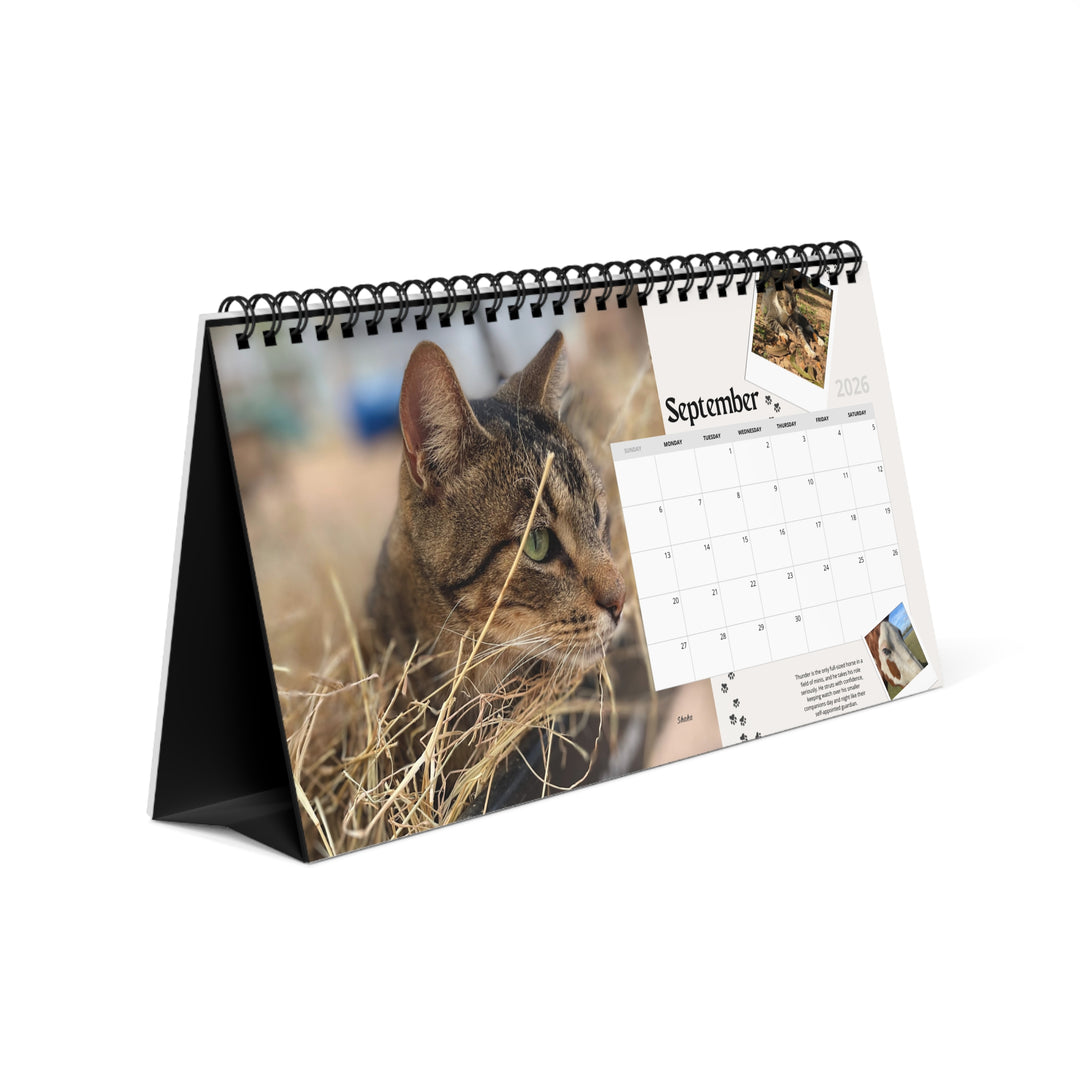 Cat Sanctuary Desktop Calendar — Monthly Photos of Resident Cats