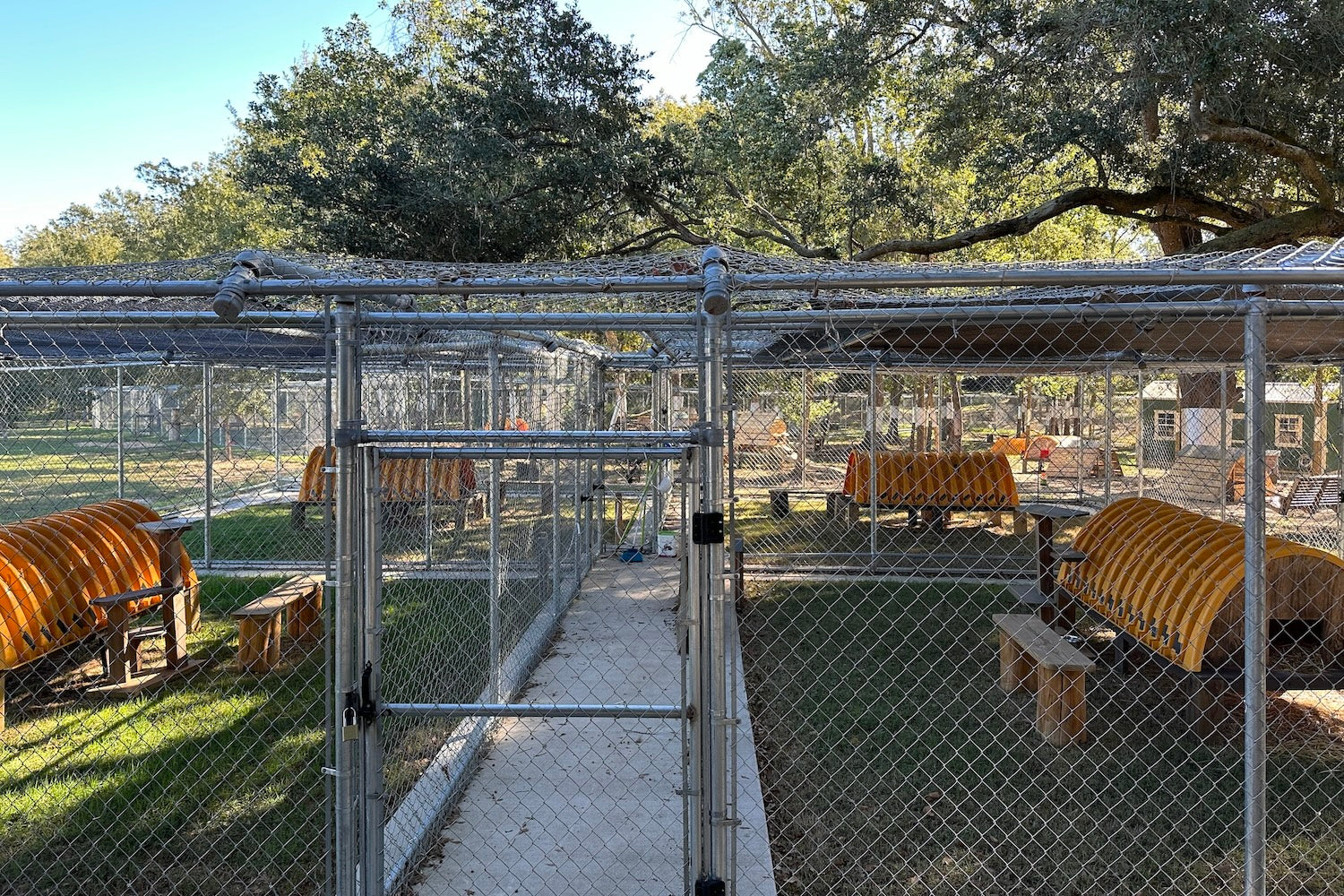 Acclimation pens at Coastal Cat Sanctuary