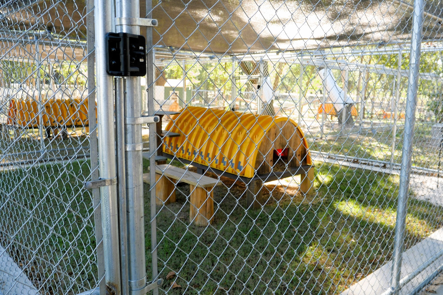 Cat rescue acclimation pens