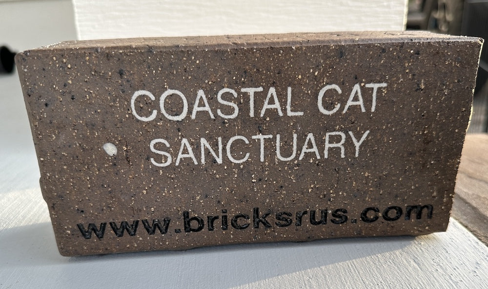 Personalized bricks in Coastal Cat Sanctuary