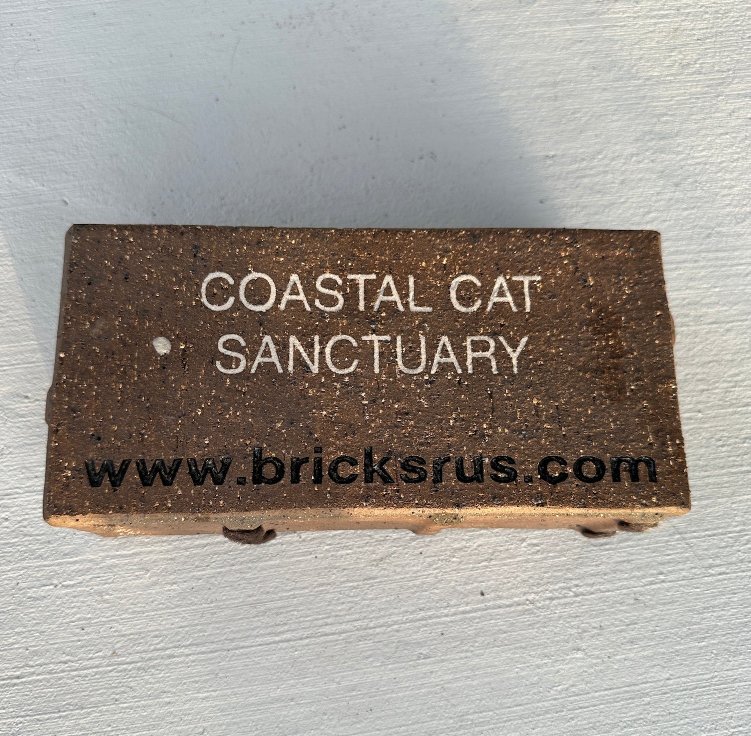 Customize a brick to sponsor Coastal Cat Sanctuary