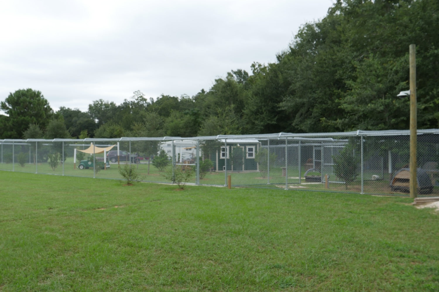 FELV area of Coastal Cat Sanctuary 