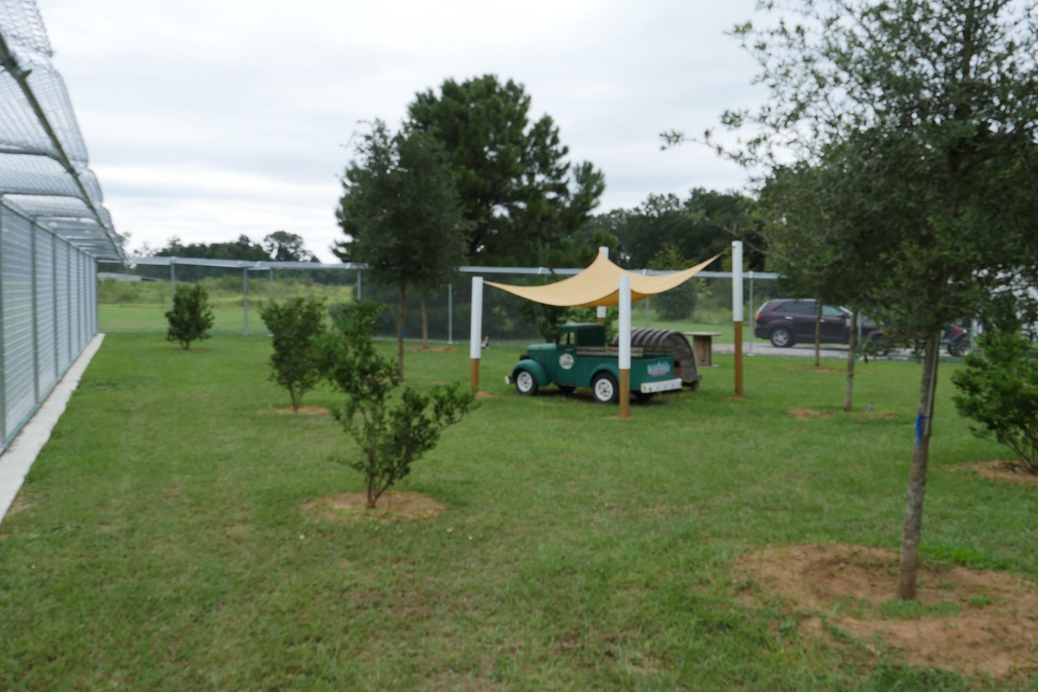 FELV pen at Coastal Cat Sanctuary