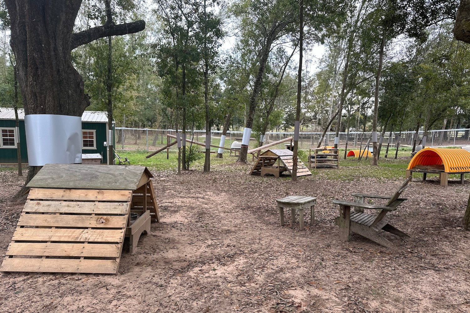 Cat garden at Coastal Cat Sanctuary